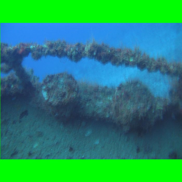 Dive WP Wrecks 25-Oct-09_319.JPG